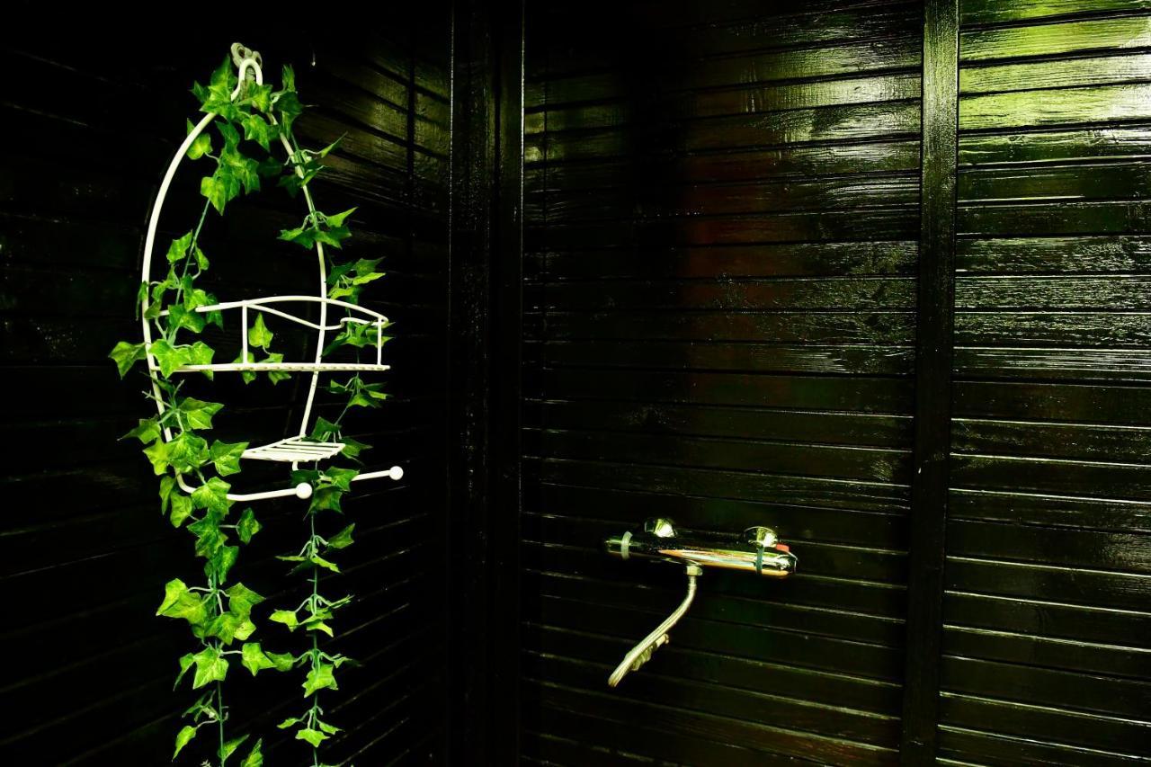 De Veldeling Bed and Breakfast Hollandscheveld Buitenkant foto