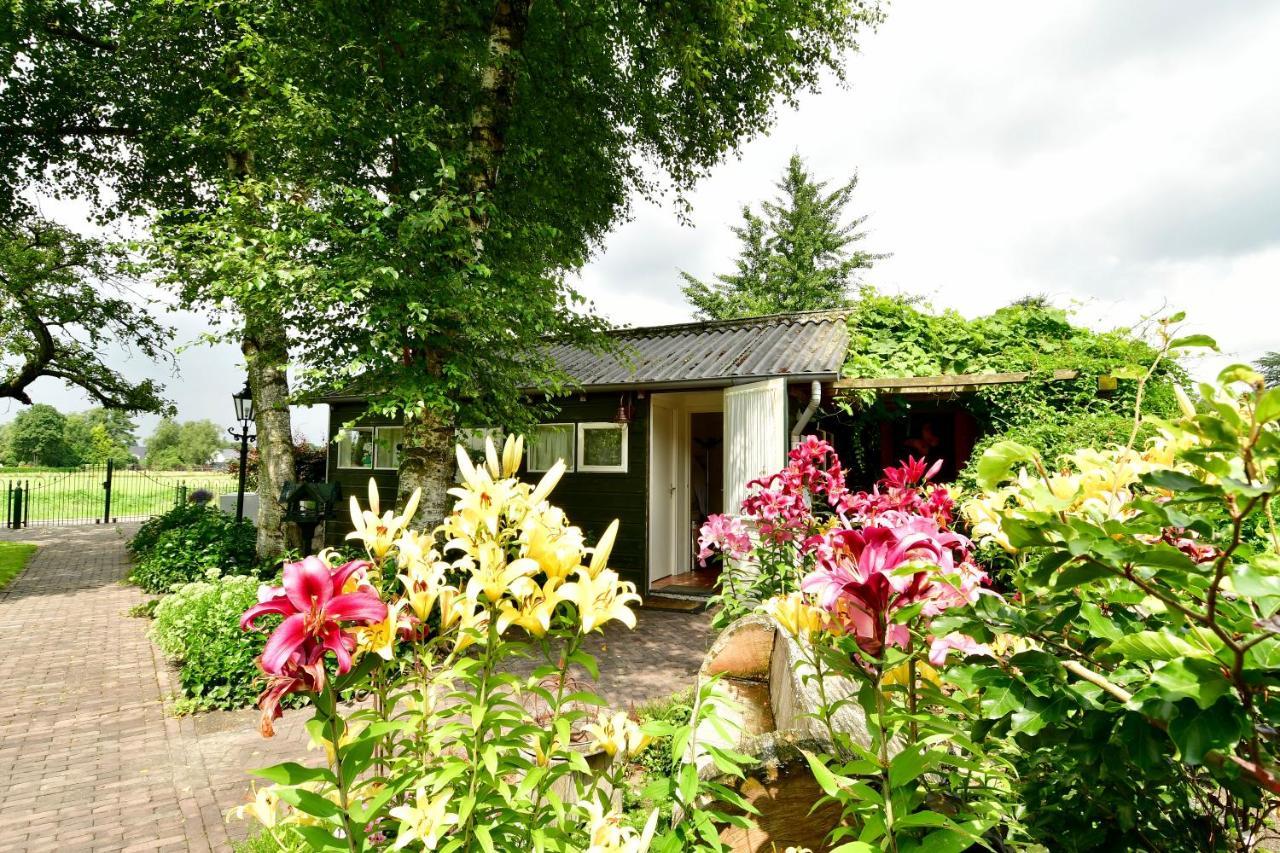 De Veldeling Bed and Breakfast Hollandscheveld Buitenkant foto