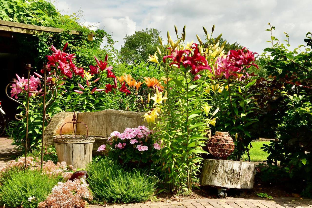 De Veldeling Bed and Breakfast Hollandscheveld Buitenkant foto