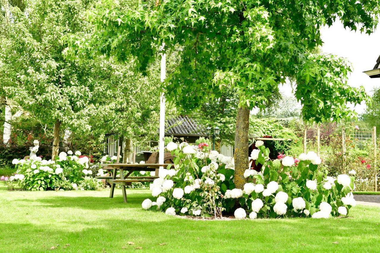 De Veldeling Bed and Breakfast Hollandscheveld Buitenkant foto