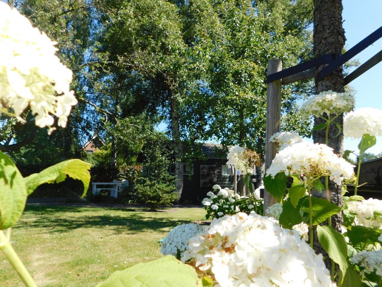 De Veldeling Bed and Breakfast Hollandscheveld Buitenkant foto