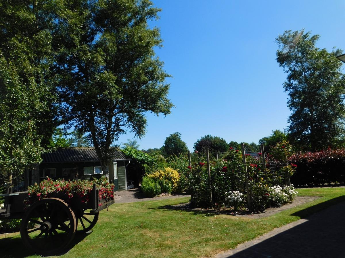 De Veldeling Bed and Breakfast Hollandscheveld Buitenkant foto